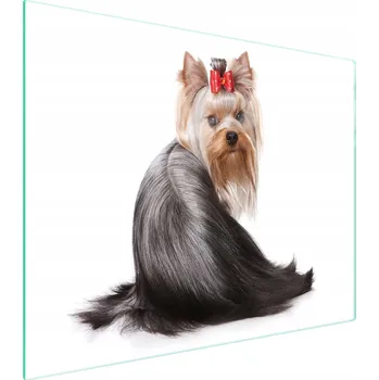 Kuchyňské prkénko Krájecí deska TMK ArtDeko sklo 1 ks