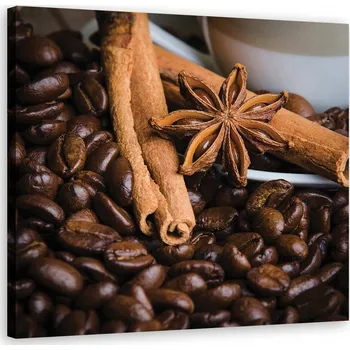 Obraz OBRAZ DO KUCHYNĚ Hvězdička anýzu a káva 40x40