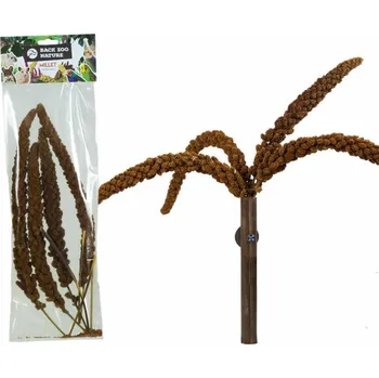 Krmivo pro ptáka Senegalské proso červené, přírodní tráva pro papoušky