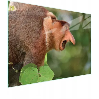 Kuchyňské prkénko Krájecí deska TMK ArtDeko sklo 1 ks