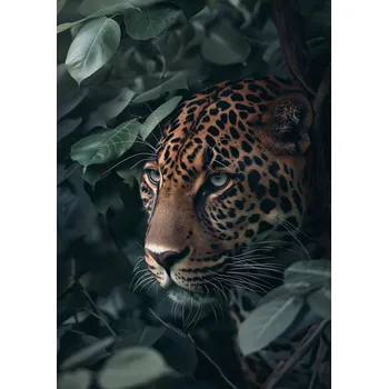 Plakát Plakát Skrytý ve Stínu bez rámu 42 x 59,4 cm