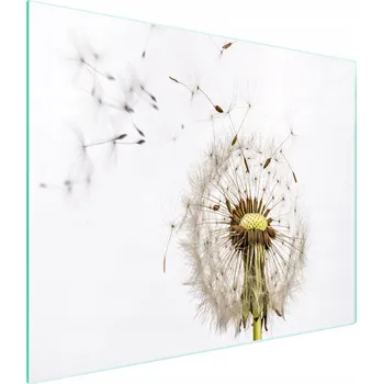 Kuchyňské prkénko Krájecí deska TMK ArtDeko sklo 1 ks