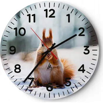 Hodiny Kuchyňské nástěnné hodiny 30x30 Zvířata Moderní skleněné hodiny Obývací pokoj Tiché