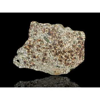 Přírodní kámen Meteorit | Achondrit | Erg Chech 002 | 65,45 g