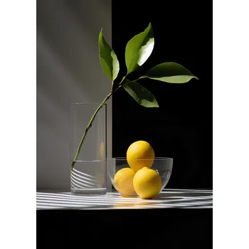 Plakát Plakát Citrusové aranžmá bez rámu 67,5 x 95 cm