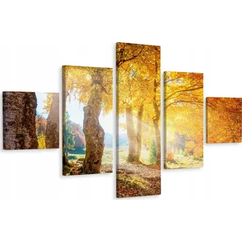 Obraz Vícedílný obraz Les na podzim Příroda 3D 200x120 cm