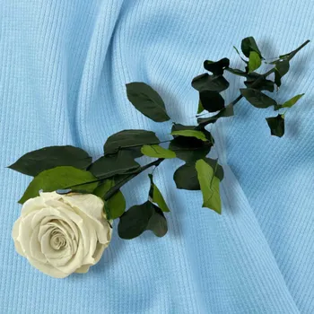 umělá květina Bílá Stabilizovaná Růže na Stonce 50 cm