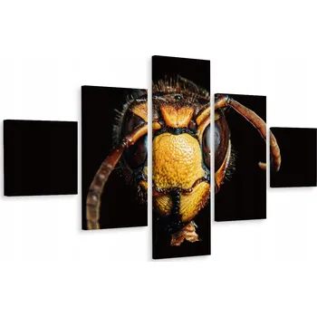 Obraz Vícedílný obraz Sršeň Hmyz Příroda Dekorace 250x150