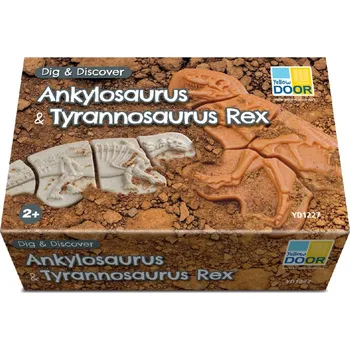Yellow Door - kostry Ankylosaurus & Tyrannosaurus rex