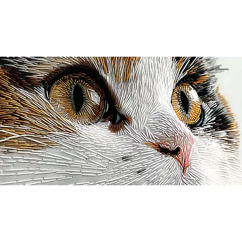 Plakát Plakát Kotě s nitkami, bez rámu, 91,3 x 44,5 cm