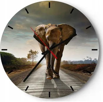 Hodiny Velké nástěnné hodiny na zeď 40x40 Slon Skleněné hodiny Kulatý Tiché