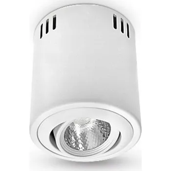 Stropní svítidlo přisazené Brilum 7 W s integrovaným LED zdrojem, 11,3 cm, bílé