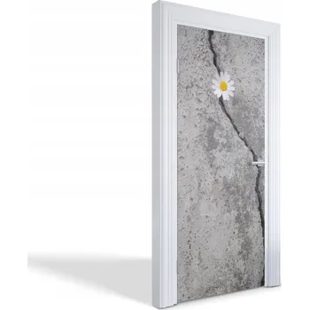 Fototapeta Samolepicí samolepící na dveře a nábytek Květina v betonu 85 x 205 cm