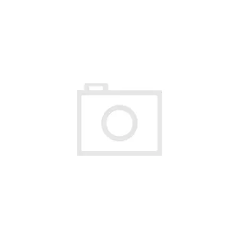 Výfuk pro motocykl Moto výfuk MIVV DAKAR ST. STEEL KTM 790 ADVENTURE / R 2019 - 2020