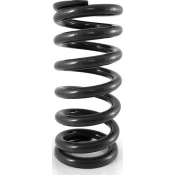 RR TLUMIČ PRUŽINY BMW F800GS 08-12 SP-BM08-SSB017B