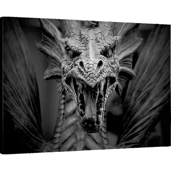 Obraz Obraz na plátně do obýváku ložnice 70x50 drak foto obrazy na zeď canvas