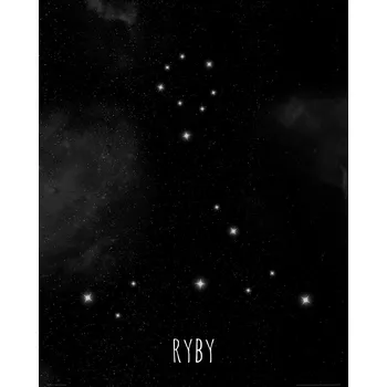 Obraz Plakát Ryby bez rámu 40 x 50 cm