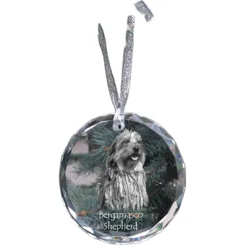 Obraz Bergamský ovčák - křišťálová vánoční koule s fotografií, fotky psů