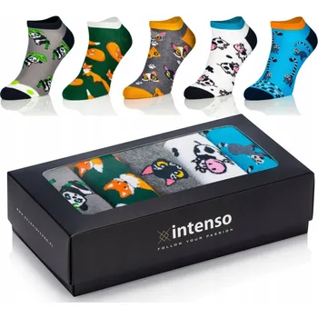 Pánské ponožky Ponožky Intenso 0211 vícebarevné velikost 36-40