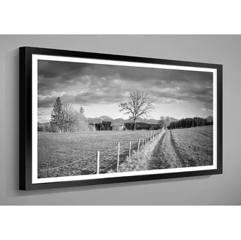 Obraz Nabytekmorava OBRAZ v rámu 80x40 PŘÍRODA černobílé RÁMEČEK BW: 2008