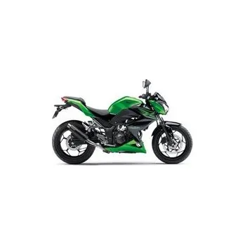 Výfuk pro motocykl Výfuk LeoVince KAWASAKI Z 300/ABS 2015 - 2016 GP CORSA MATTE