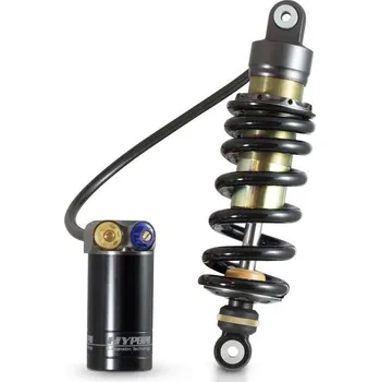 RESV TLUMIČE BMW R1150R 01- BM11-1AKSXP