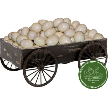 Mandle v bílé čokoládě 1kg