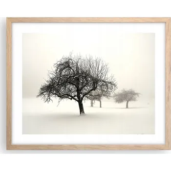 Obraz Obraz plakát na zeď v rámu světlý dub 50x40 grafika foto do obýváku