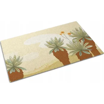 Rohožka Hotová textilní rohožka do interiéru 90 x 60 cm