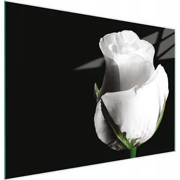 Kuchyňské prkénko Krájecí deska TMK ArtDeko sklo 1 ks