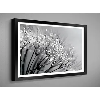 Obraz Nabytekmorava OBRAZ v rámu 60x40 PŘÍRODA černobílé RÁMEČEK BW: 0031