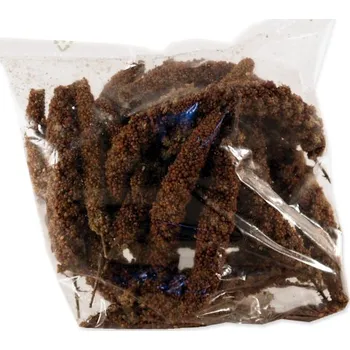 Krmivo pro ptáka Proso Avicentra senegalské klasy červené 100g
