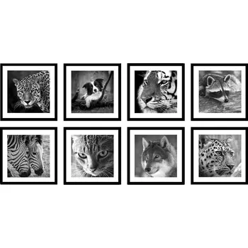 Obraz Nabytekmorava Sada obrazů v rámu 5001