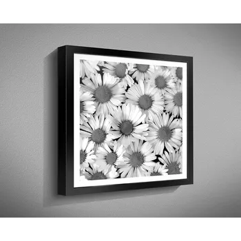Obraz Nabytekmorava OBRAZ v rámu 40x40 květiny černobílé RÁMEČEK BW: 1052