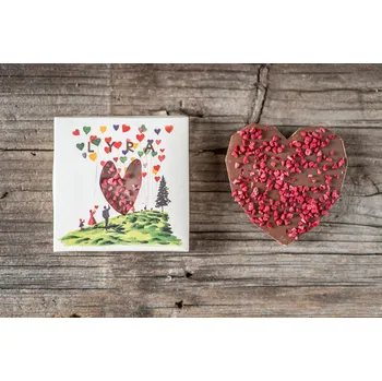 Čokoláda LYRA SRDCE Mléčná čokoláda ve tvaru srdce s lyofilizovaným ovocem 65 g