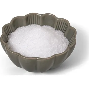 Sladidlo Protein a Co ProteinaCo Březový cukr – xylitol 500 g