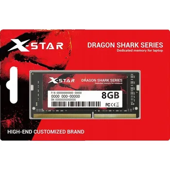 Operační paměť Paměť RAM X-Star Dragon DDR3L 8GB 1,35V PC3L 1600MHz pro notebook