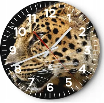 Hodiny Kuchyňské nástěnné hodiny 30x30 Zvířata Moderní skleněné hodiny Obývací pokoj Tiché
