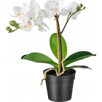 umělá květina ORCHIDEJ BÍLÁ UMĚLÁ ROSTLINA FEJKA 9 CM IKEA
