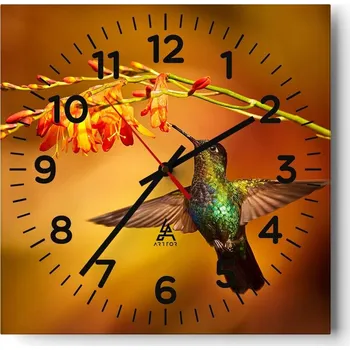 Hodiny Nástěnné hodiny do obýváku 40x40 Kolibřík Bezhlučné hodiny na skle Tiché