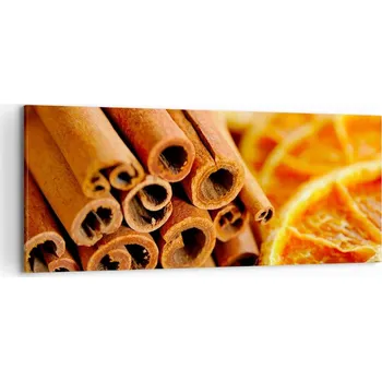 Obraz Obraz na plátně do obývacího pokoje ložnice 120x50 pomeranč foto obrazy na zeď