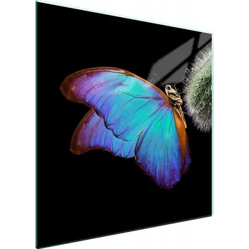 Kuchyňské prkénko Krájecí deska TMK ArtDeko sklo 1 ks