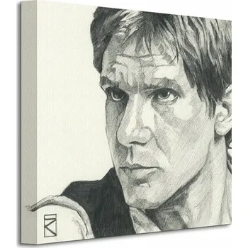 Obraz Star Wars Han Solo Obraz na plátně 30x30 cm