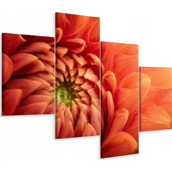 Obraz Čtyřdílný obraz KVĚT zblízka Příroda 3D 80x50