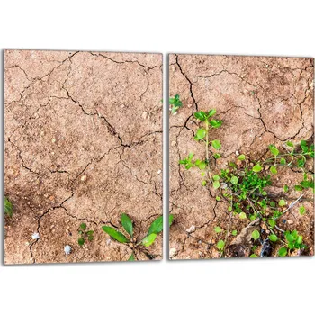 Kuchyňské prkénko Krájecí deska TMK ArtDeko sklo 2 ks