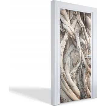 Fototapeta Samolepka samolepící dýha na dveře skříně Zamotané kořeny 95x205 cm
