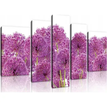 Obraz OBRAZ NA PLÁTNĚ CANVAS 170x100 KVĚTINY ČESNEK