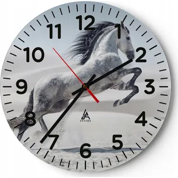 Hodiny Kuchyňské nástěnné hodiny 30x30 Zvířata Moderní skleněné hodiny Obývací pokoj Tiché