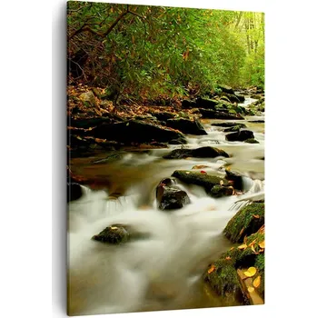 Obraz Obraz na plátně do obýváku ložnice 50x70 les foto obrazy na zeď canvas