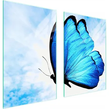 Kuchyňské prkénko Krájecí deska TMK ArtDeko sklo 2 ks